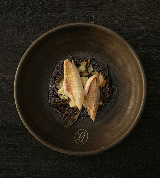 puerto_abrigo-vrt puerto_abrigo-vrt